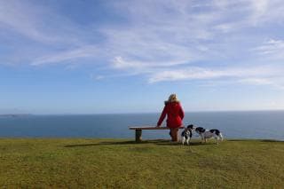 Woman sitting alone on bench with two dogs