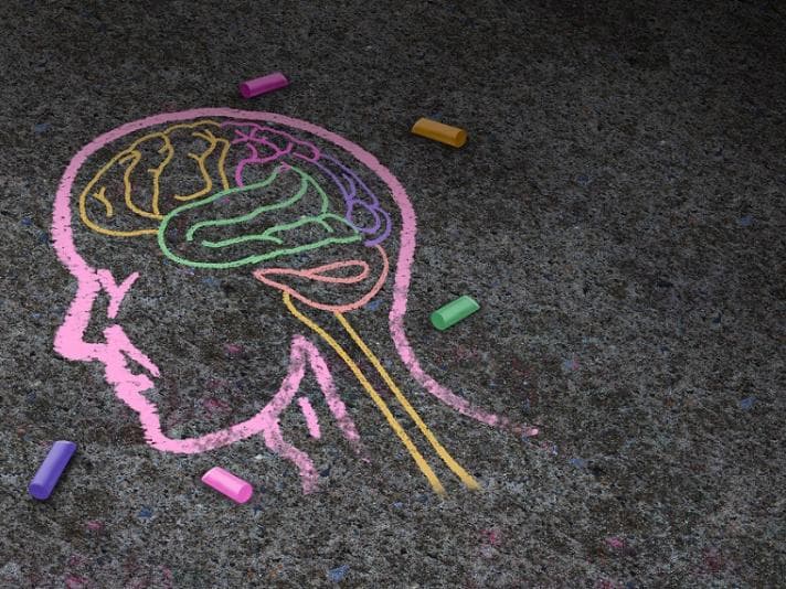 Chalk drawing of a human head and brain