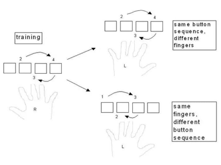 Motor learning task - Cohen, Leone, Press, Robertson (2005)