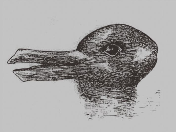 Rabbit or duck visual paradox