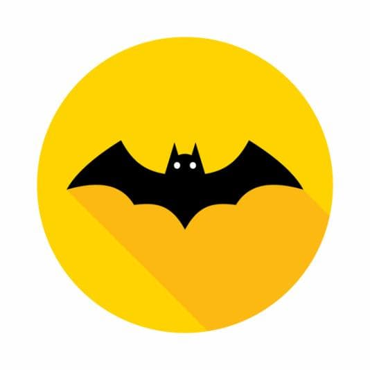 Bat symbol