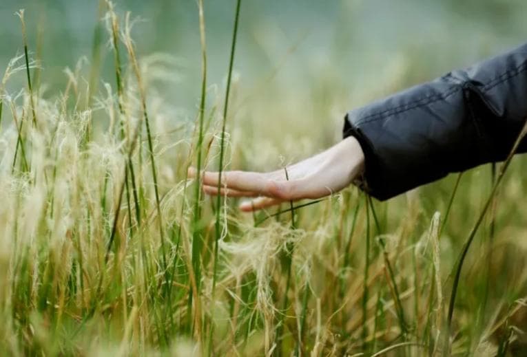 Hand touching grass