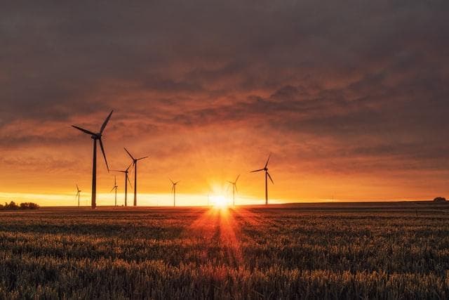 Sun setting behind wind turbines on a field