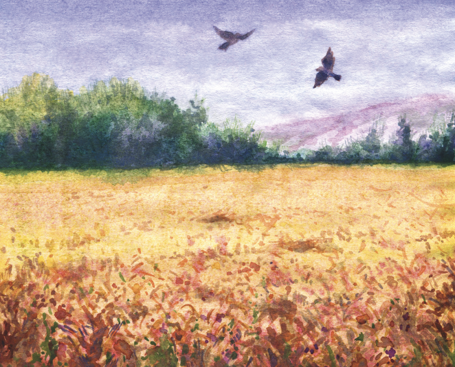 Painting of birds above crop field