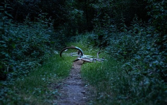 Bicycle lying on a path