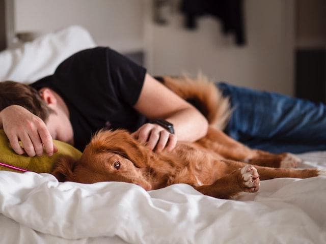 Man sleeping with dog