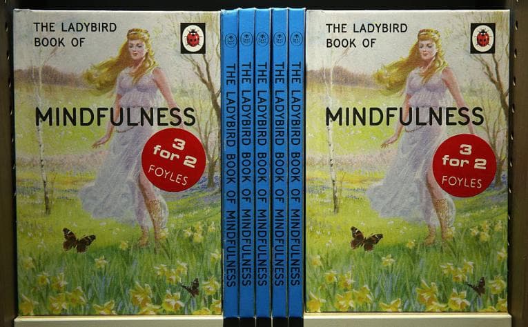 Bookshelf with several copies of The Ladybird Book of Mindfulness