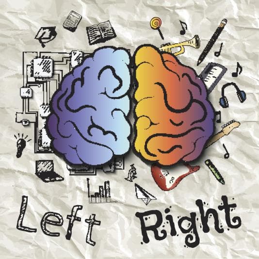 Illustration of brain with labels indicating left and right