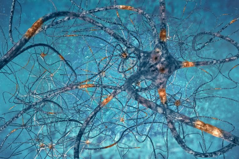 Illustration of brain cells