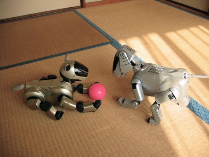 Two toy robot dogs