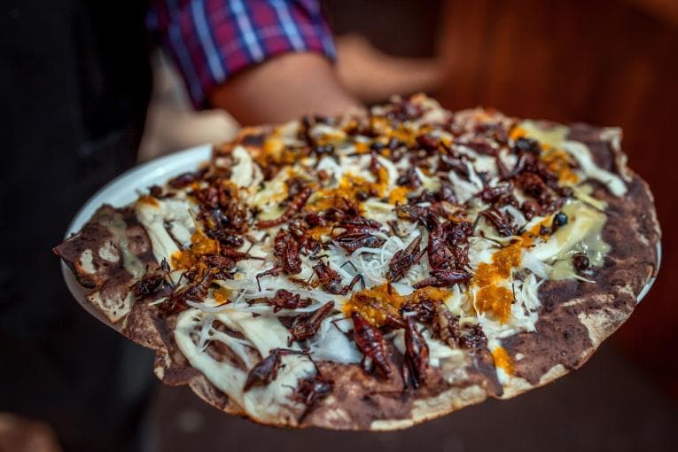 Tlayuda tortilla with edible Mexican Chapulines as a topping