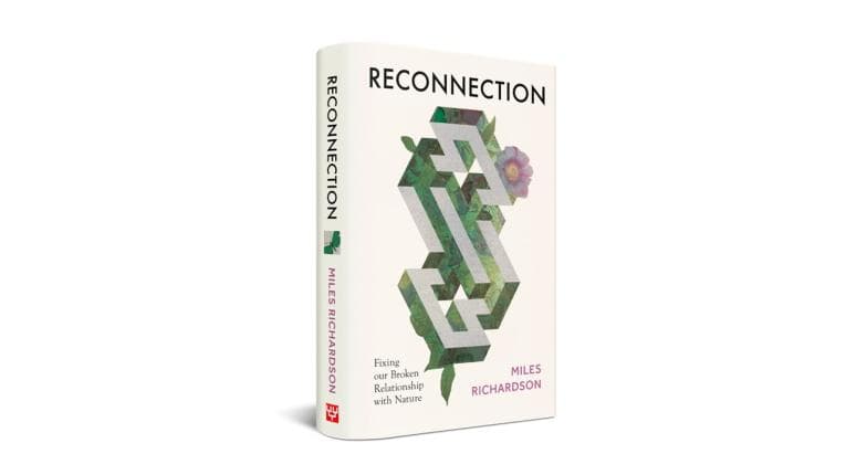 Reconnection Book cover