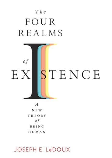 The Four Realms of Existence book cover