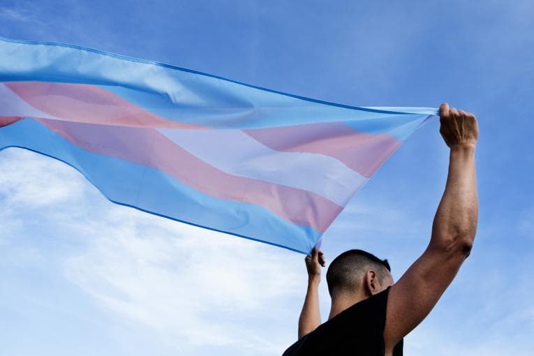 Transgender flag