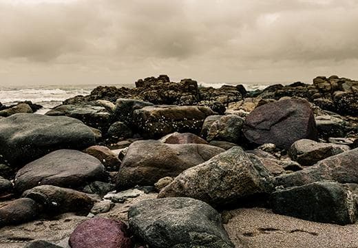 Rocks on beach, with barnacles