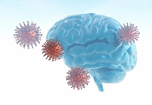 Brain with Coronavirus